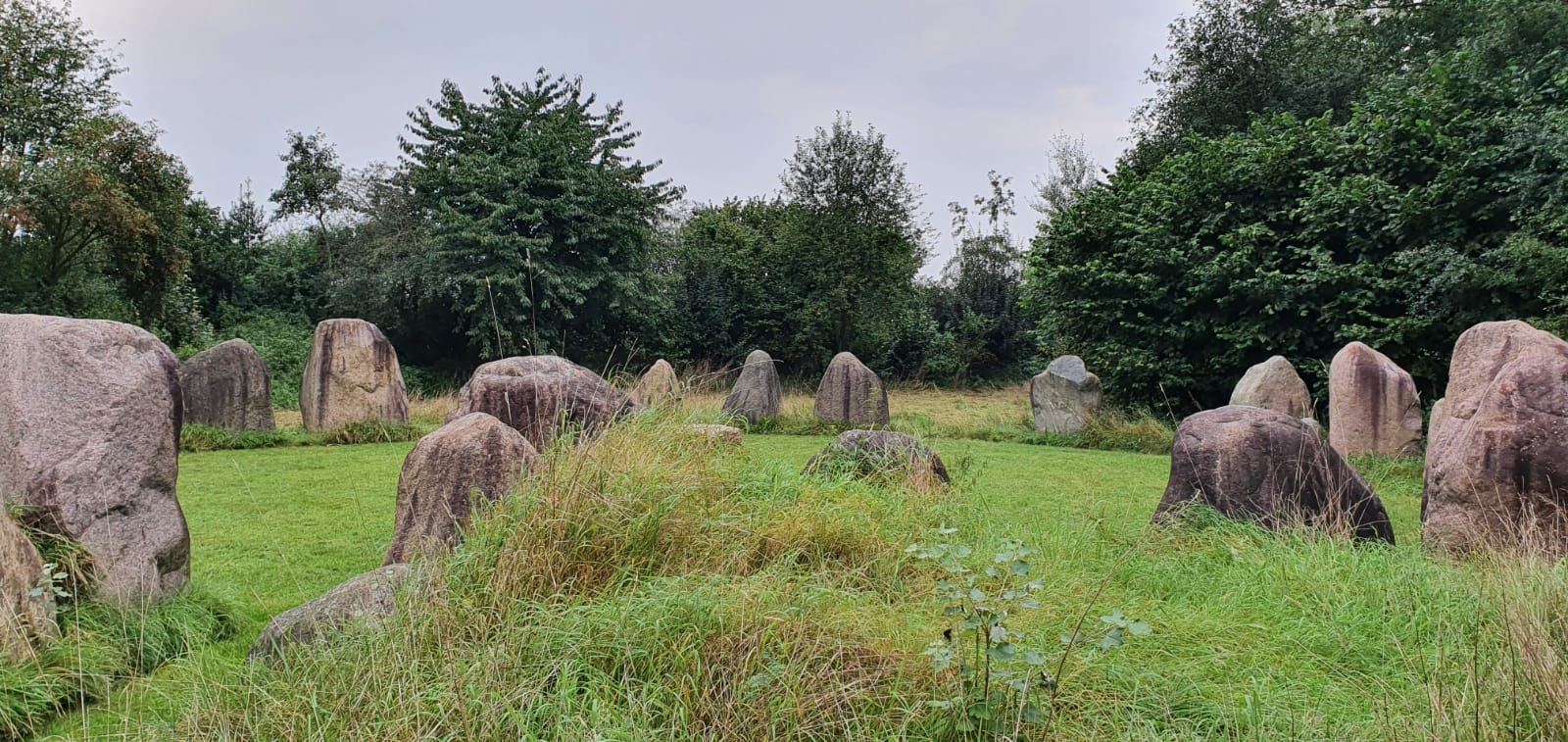 5ca356a9-09f5-4ab4-9016-0a0d7ed31aef