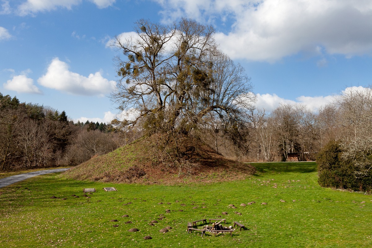 De Guna’s – November en de kunst van verstillen