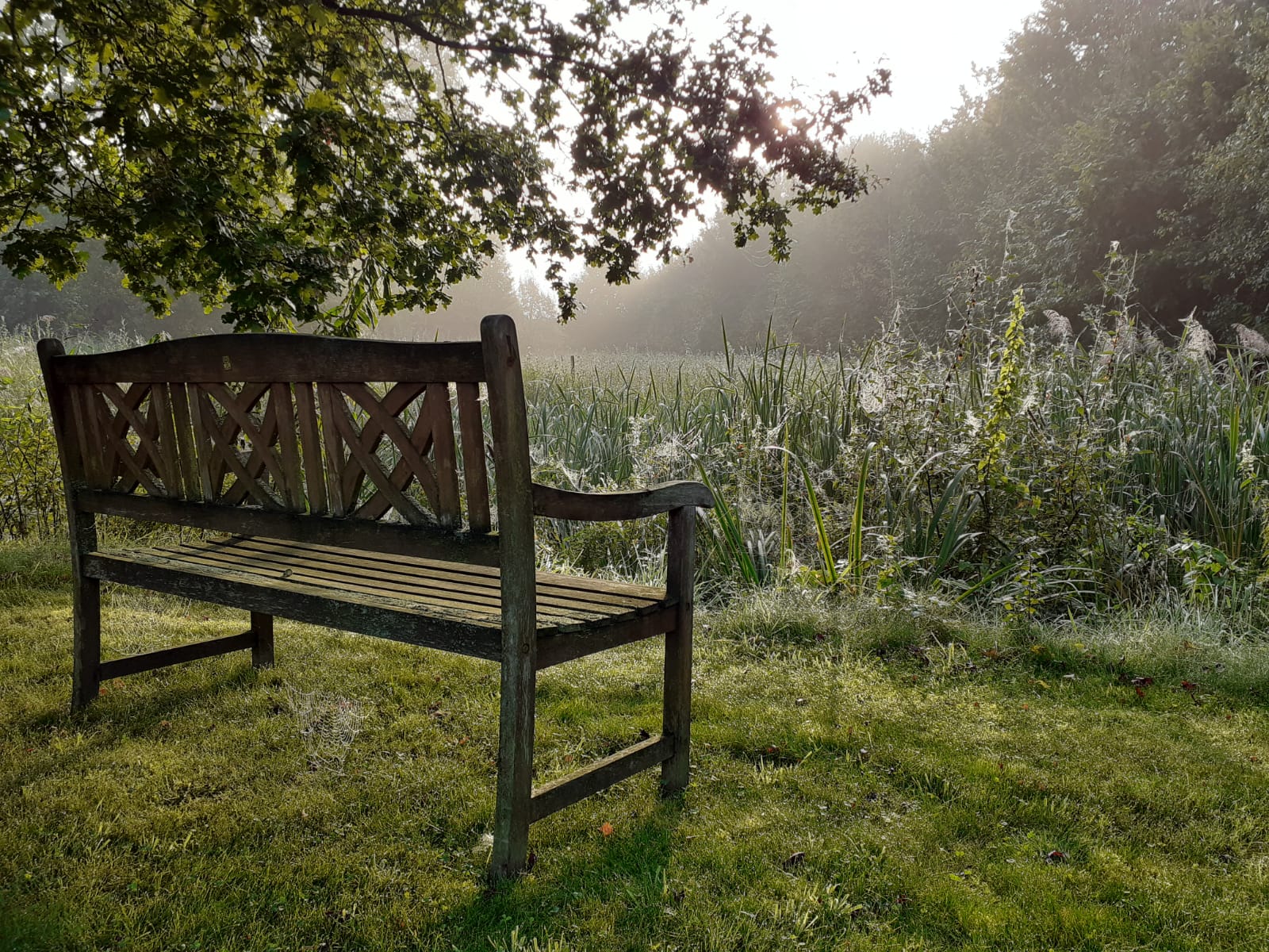 be1e56ef-6267-4451-97d7-c5da117ec565