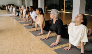 People doing yoga in the studio