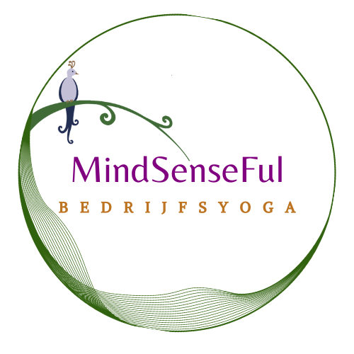 logo 1 msf