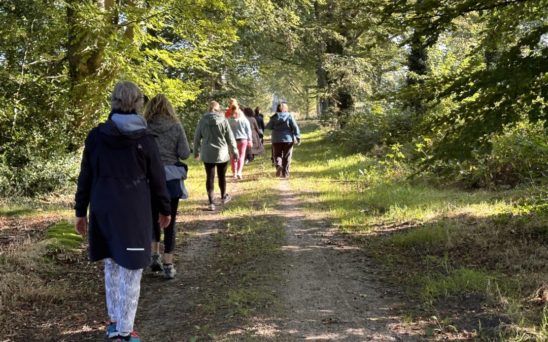 Een groep mensen wandelt in stilte door een rustgevend bos, omringd door hoge bomen en een serene sfeer.