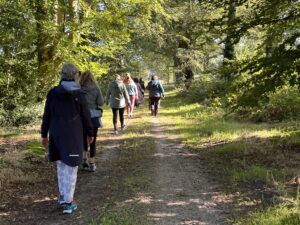 Een groep mensen wandelt in stilte door een rustgevend bos, omringd door hoge bomen en een serene sfeer.