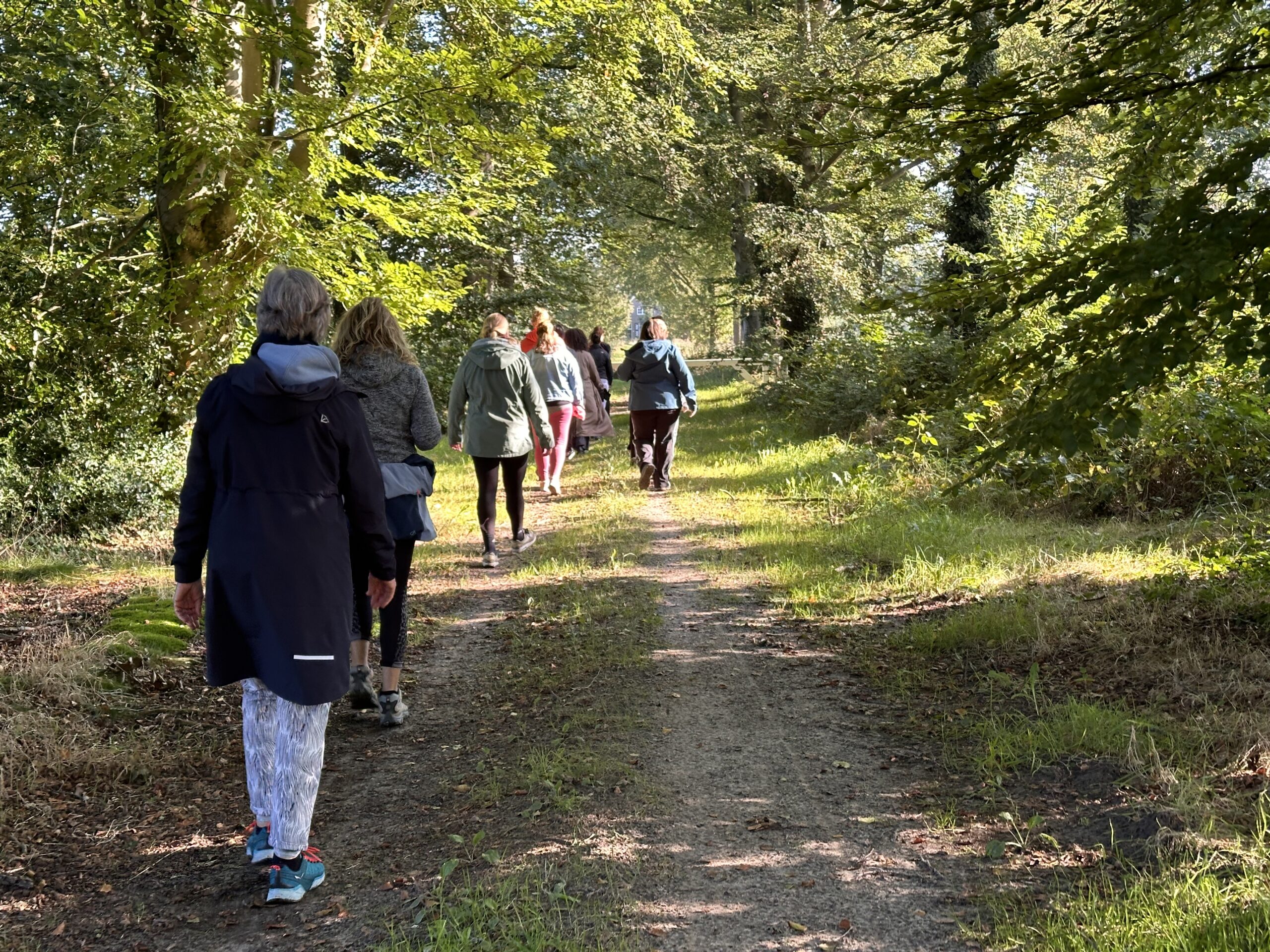 Een groep mensen wandelt in stilte door een rustgevend bos, omringd door hoge bomen en een serene sfeer.