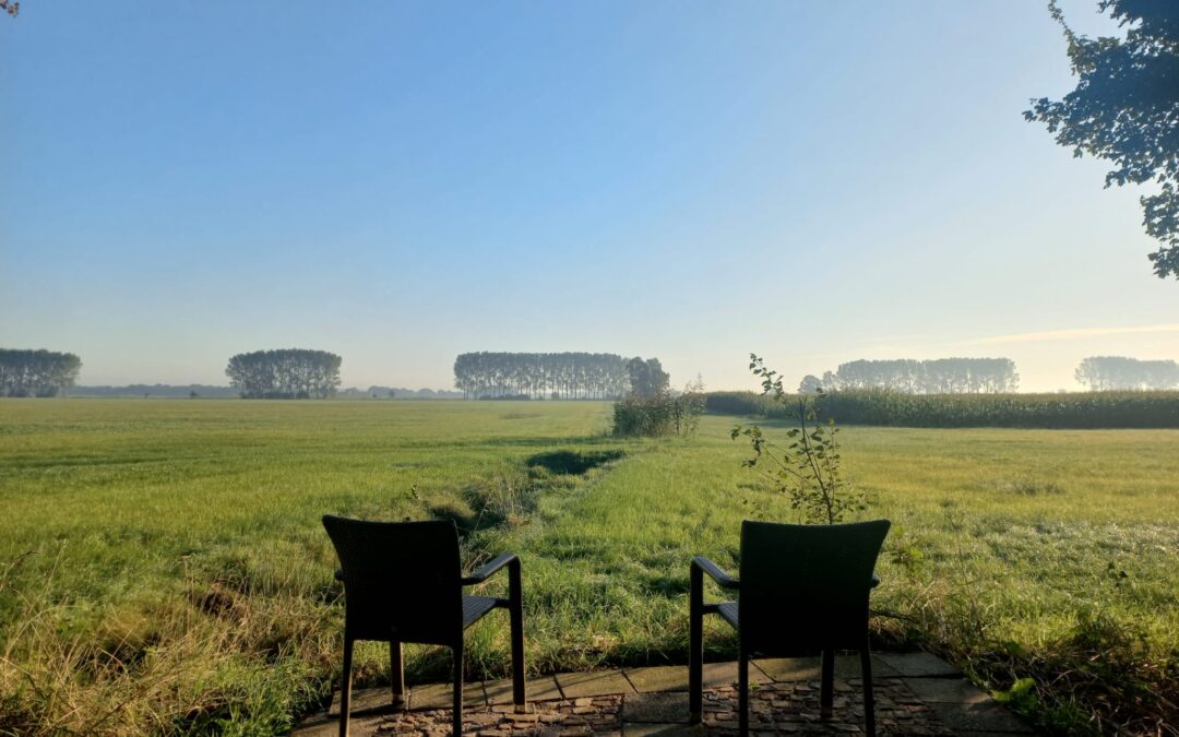 meditatie en yoga verstilling natuur